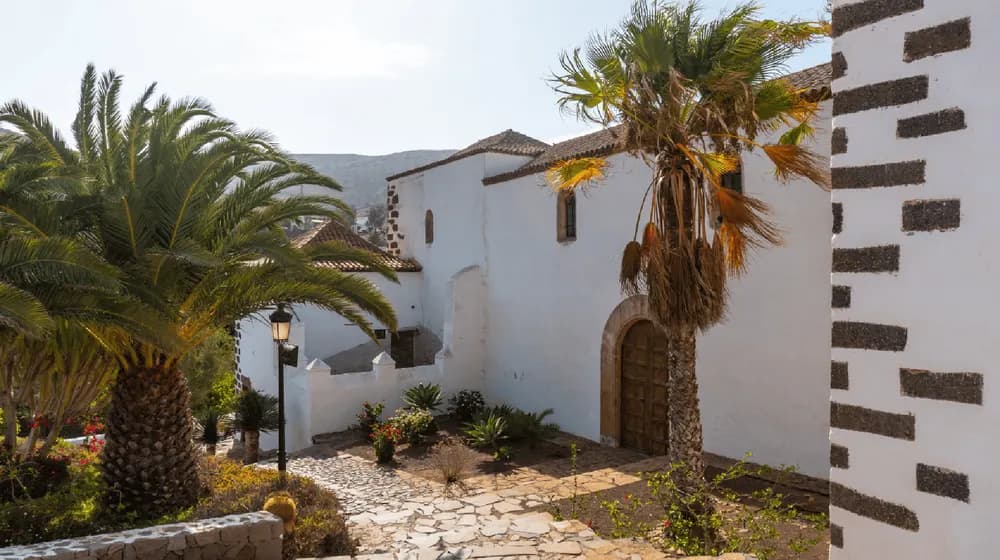 Ecotourism in Fuerteventura: Discover Its Unique Biodiversity.