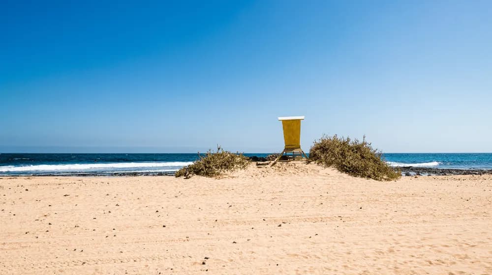 Strandführer von Fuerteventura: Entdecke Paradiese aus Sand und Meer