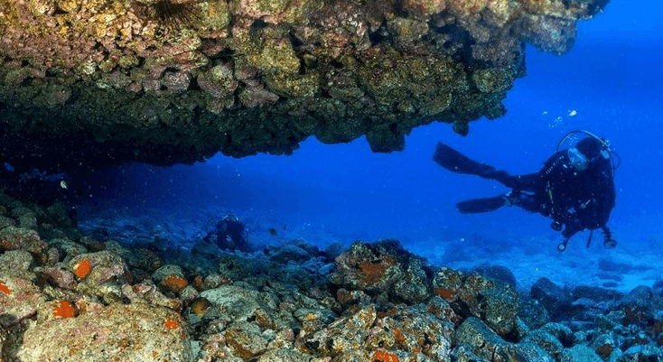 Mejores sitios para bucear en Fuerteventura: guía por zonas